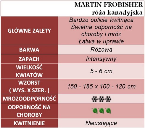 MARTIN FROBISHER róża kanadyjska gł.zal